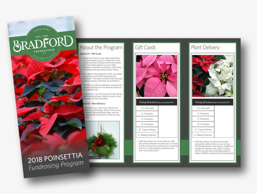 How To Order - Poinsettia, transparent png #8960362