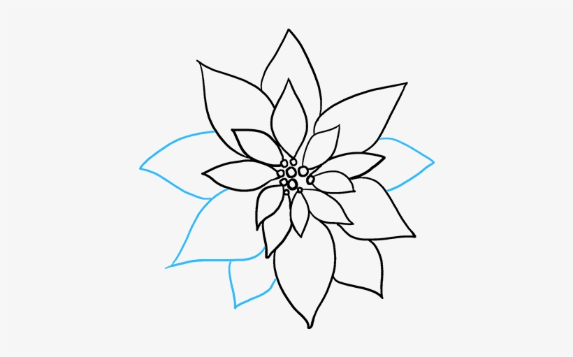 How To Draw Poinsettia - Poinsettia Simple Drawing, transparent png #8960634