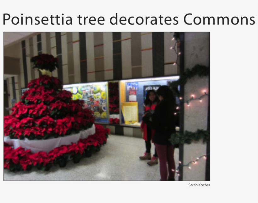 Sarah Kocher - Decoration, transparent png #8960671