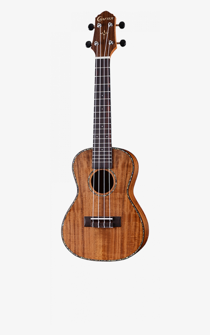 Godin Grand Concert Png, transparent png #8961168