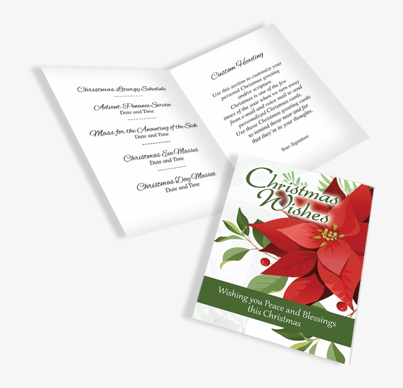 Advent18 A Eng Display - Poinsettia, transparent png #8961170