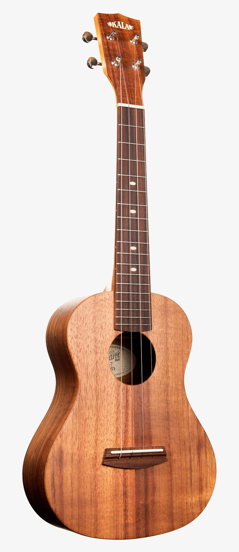 Blueberry Bluegrass Festival - Teton Guitar Mahogany, transparent png #8961292