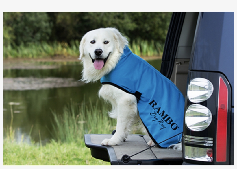 Laster Product Bilde - Rambo Dog Dry Rug, transparent png #8961986