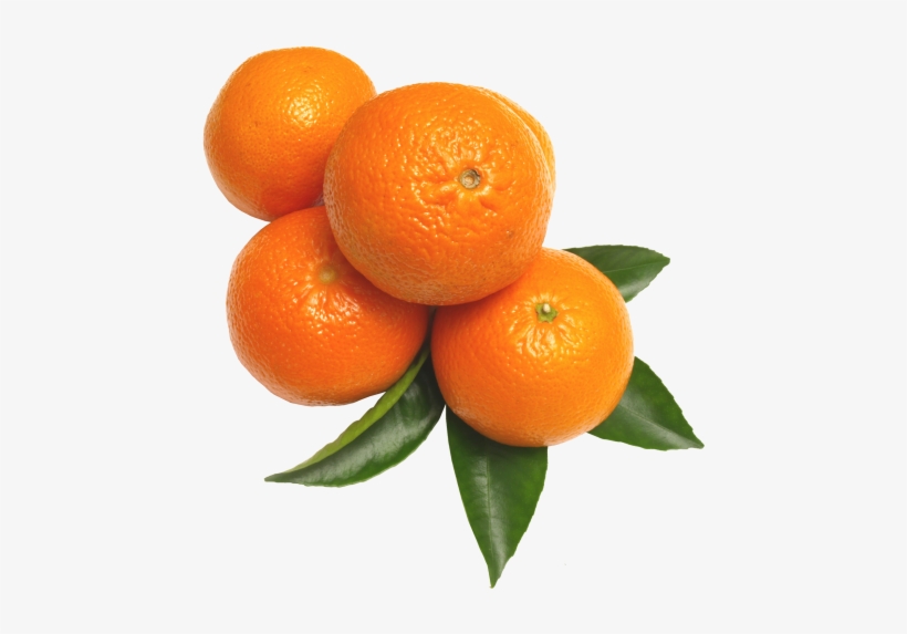 Orange Background png download - 750*752 - Free Transparent