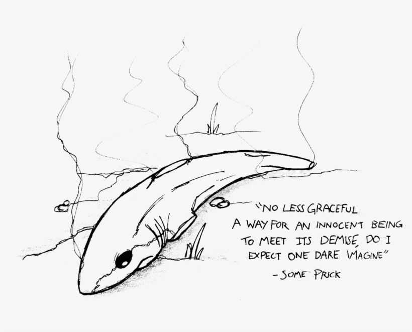 Dead Shark - Sketch, transparent png #8964015
