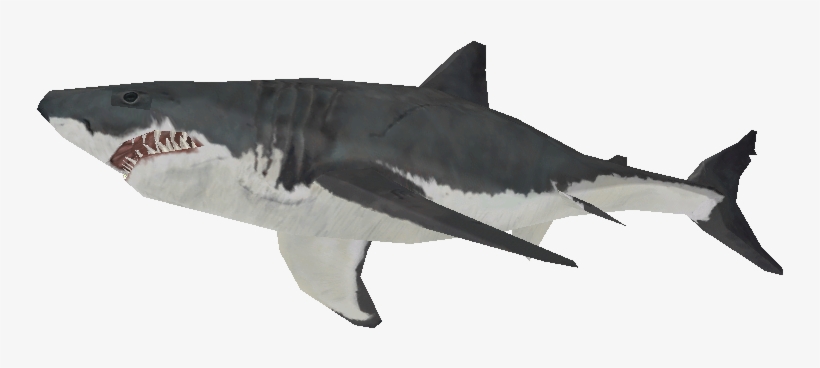 Download Zip Archive - Great White Shark, transparent png #8964382