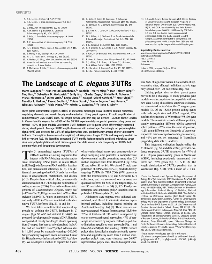 Document, transparent png #8965630