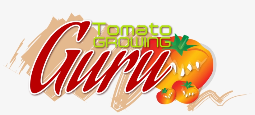 Tomato Growing Guru, transparent png #8966448
