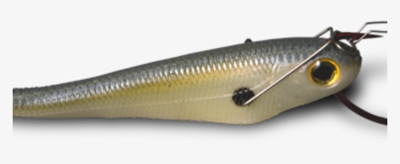 Sand Eel, transparent png #8966892