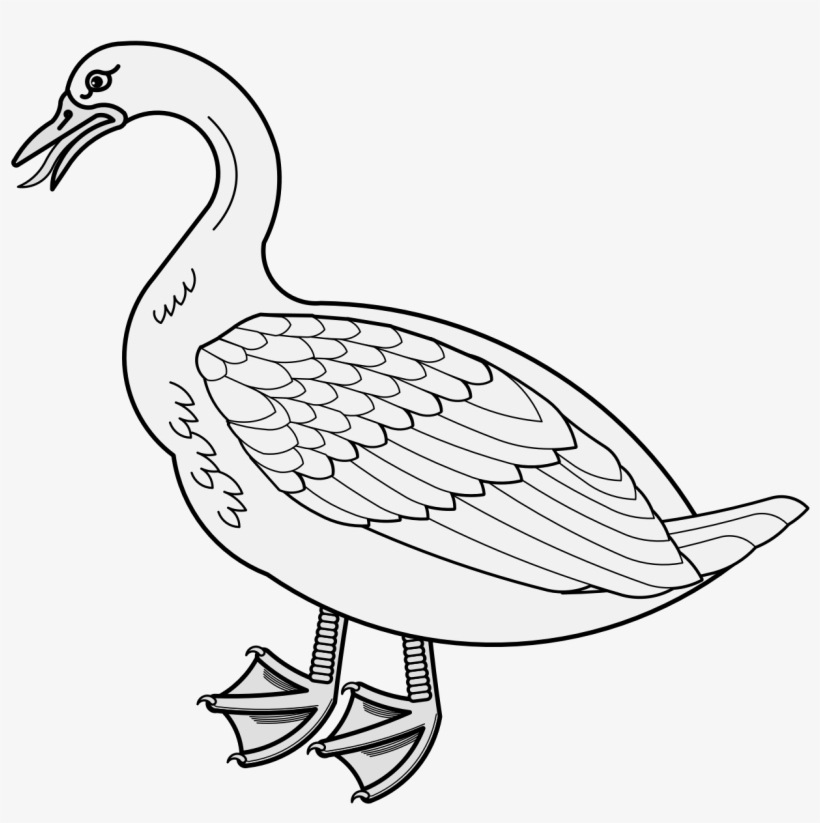 Goose - Duck, transparent png #8967670