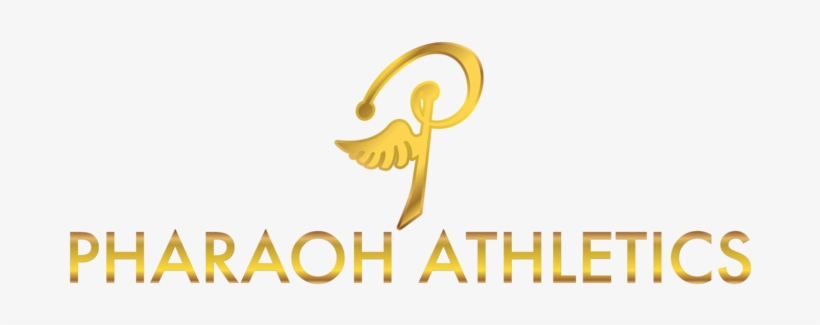 Graphic Design, transparent png #8969513