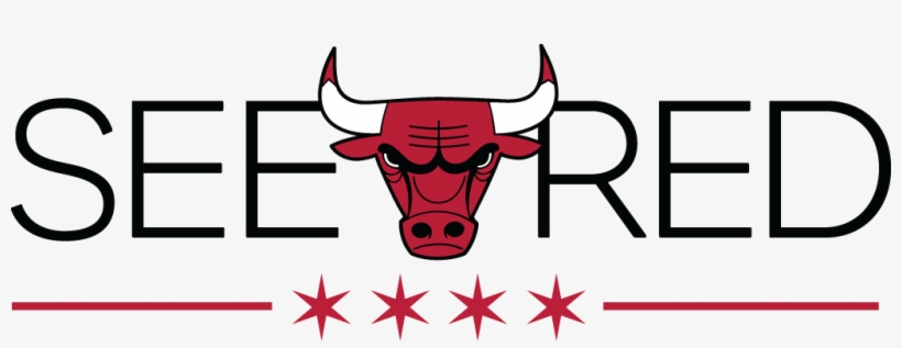 1024 X 347 6 - Chicago Bulls See Red Png, transparent png #8969687