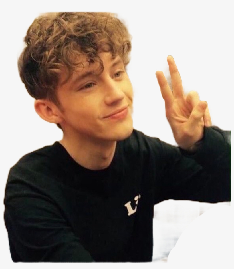 Troye Troye Sivan Troyesivan Troyesivanfreetoedit - Boy, transparent png #8971465