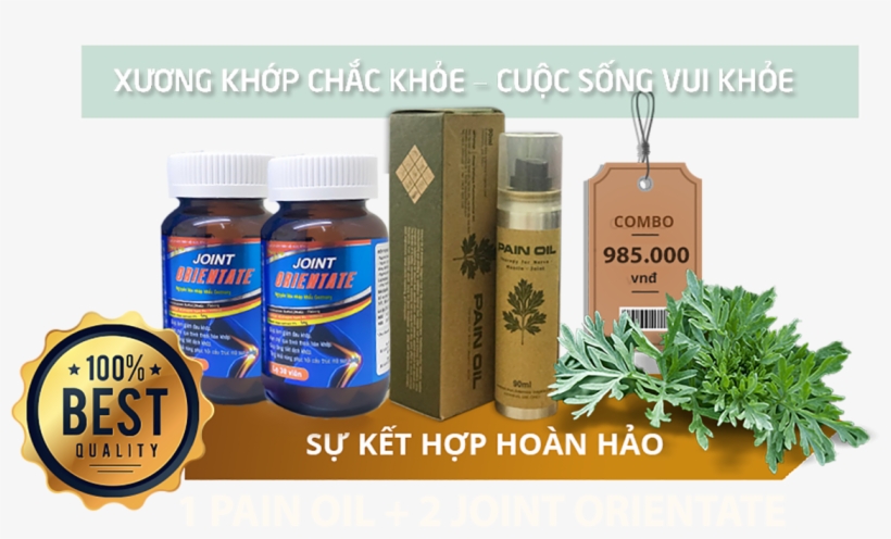 M4 Png - Coriander, transparent png #8971538