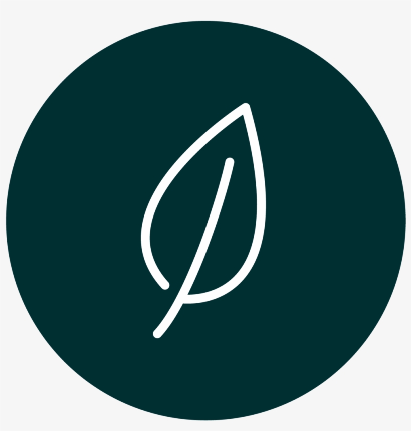 Icon-03 - Circle, transparent png #8972670