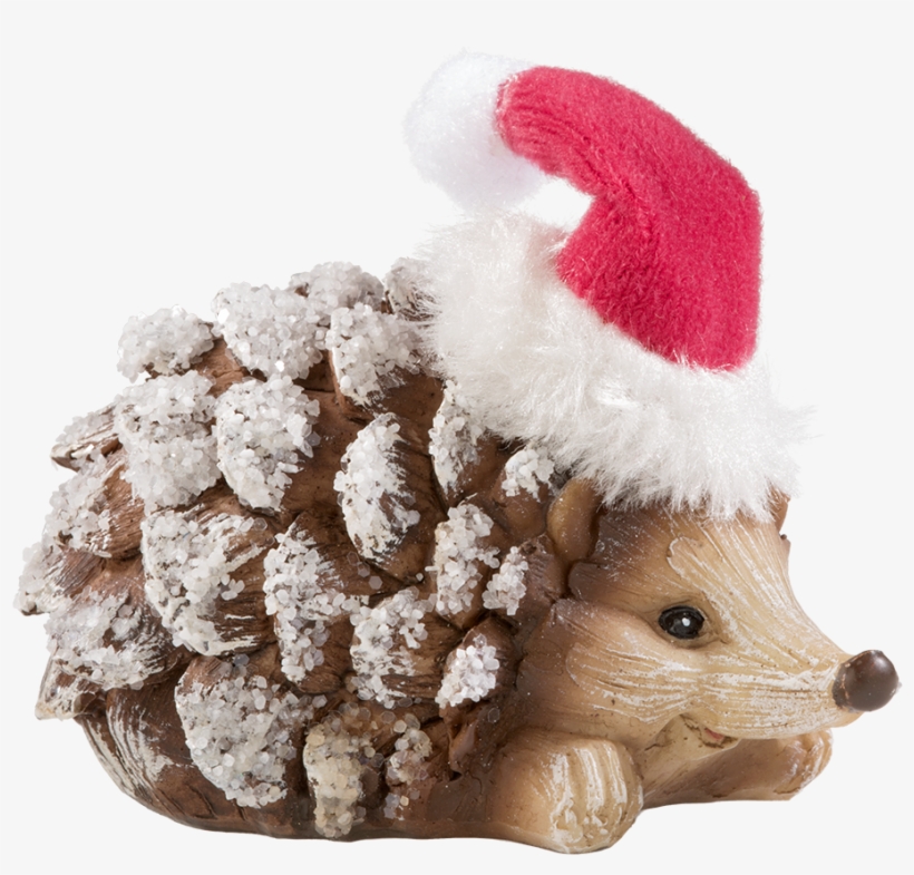 Hedgehog With Cap, Laid - Christmas Hedgehog Png, transparent png #8973921