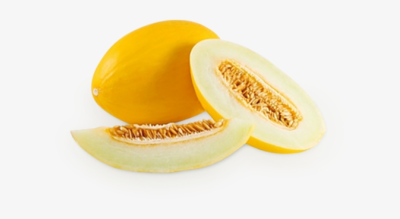 Melon Png Free Download - Melon Canary, transparent png #8974577