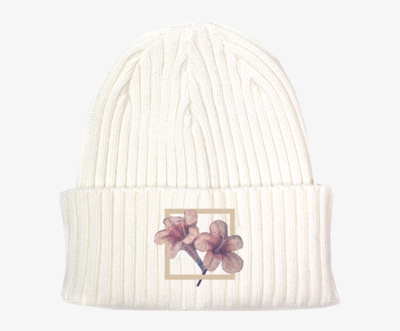 Shawn Mendes Merch Hat, transparent png #8975107