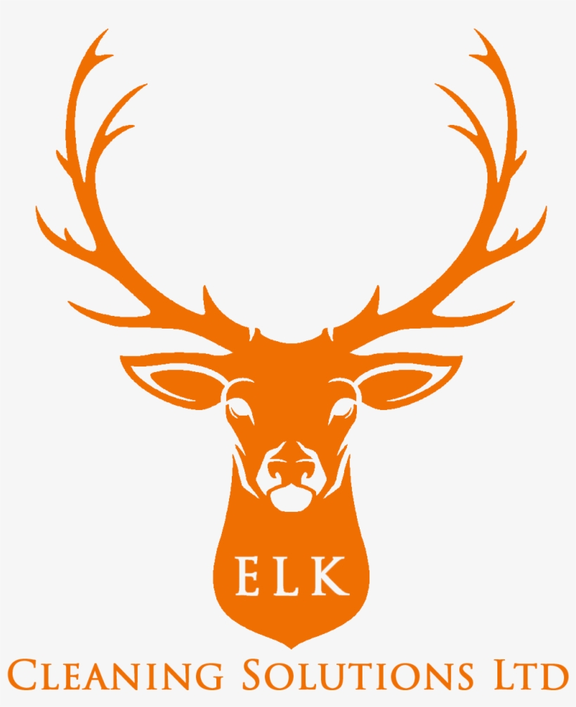 Deer Head Illustration Free, transparent png #8976680