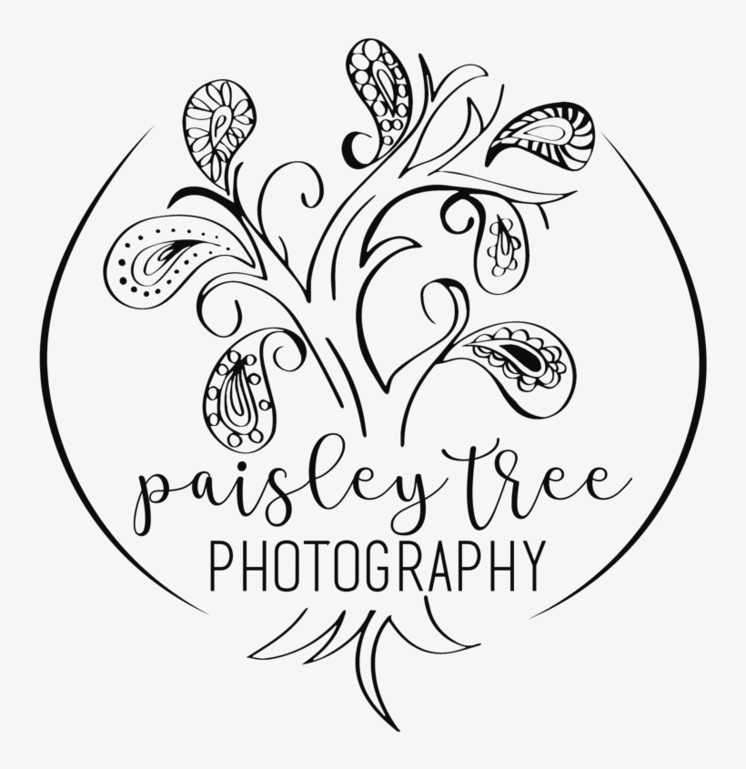 Paisleytree Logo Black, transparent png #8977567