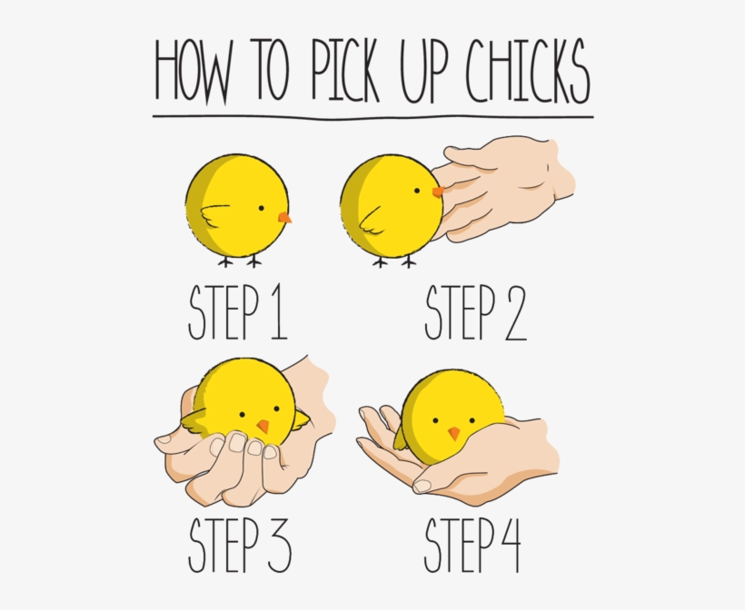 0 Replies 1 Retweet 2 Likes - Pick Up Chicks Funny, transparent png #8977816