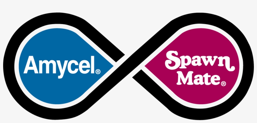 Spawn Carriers - Love You, transparent png #8978279