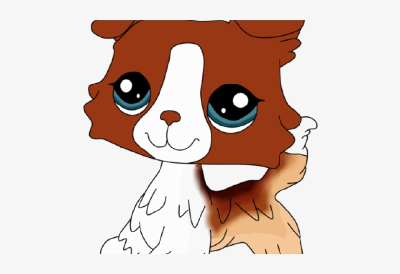 Lps Collie 1542 Drawing, transparent png #8978428