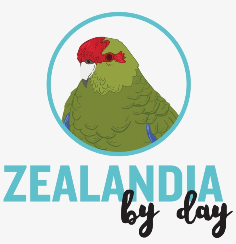 Check Out Our Fantastic Deals And Special Offers Below - Parakeet, transparent png #8980336