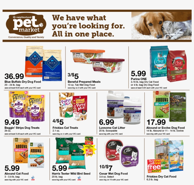 30 - Dog, transparent png #8980519