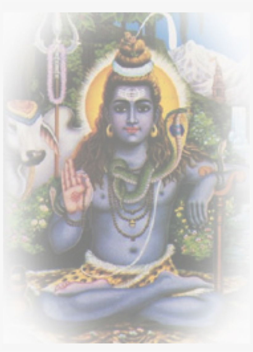 Shiva - Shiva Sitting On Tiger Skin, transparent png #8981913
