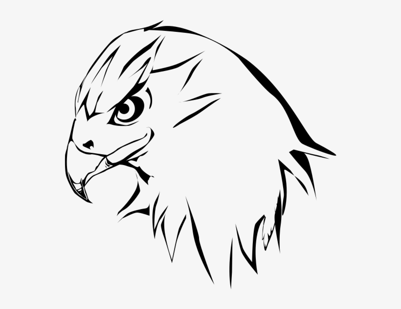 Coopers Hawk Clipart Drawn - Hawk Drawing, transparent png #8982825