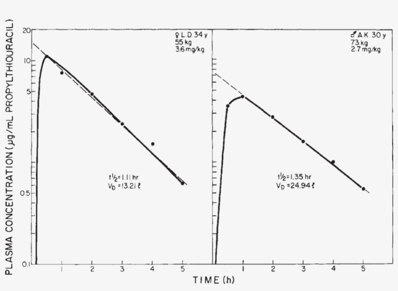 Time After An Oral Dose Of 200 Mg To Healthy Human - Diagram, transparent png #8984010