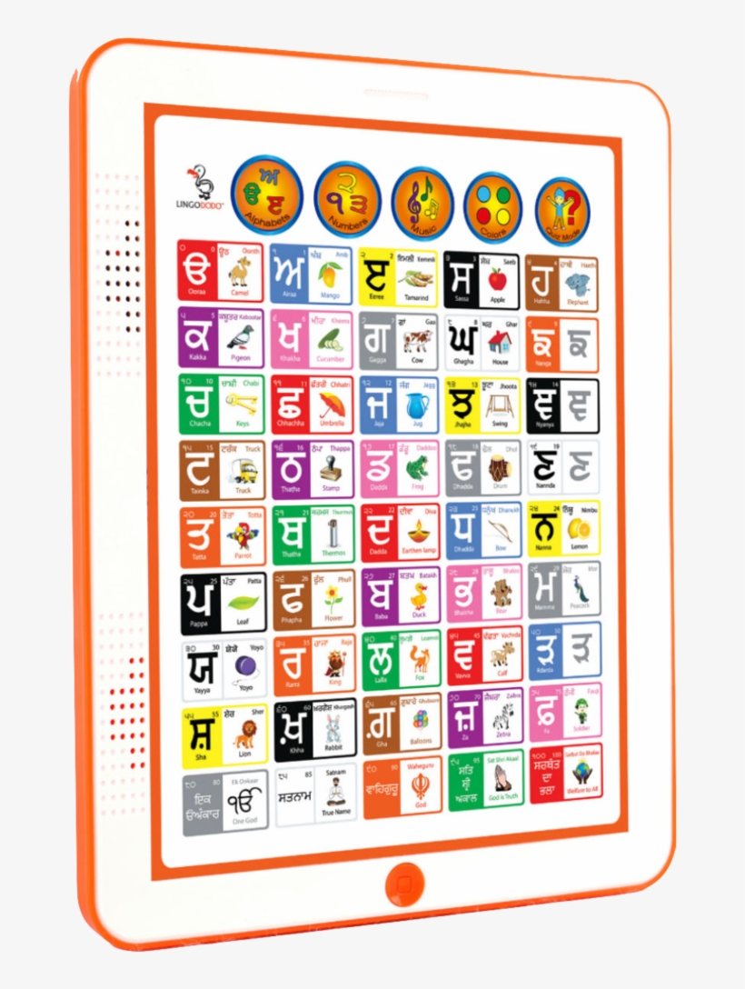 Lingododo - Punjabi Learning Toys, transparent png #8984292