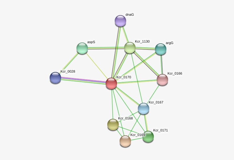 Circle, transparent png #8984704