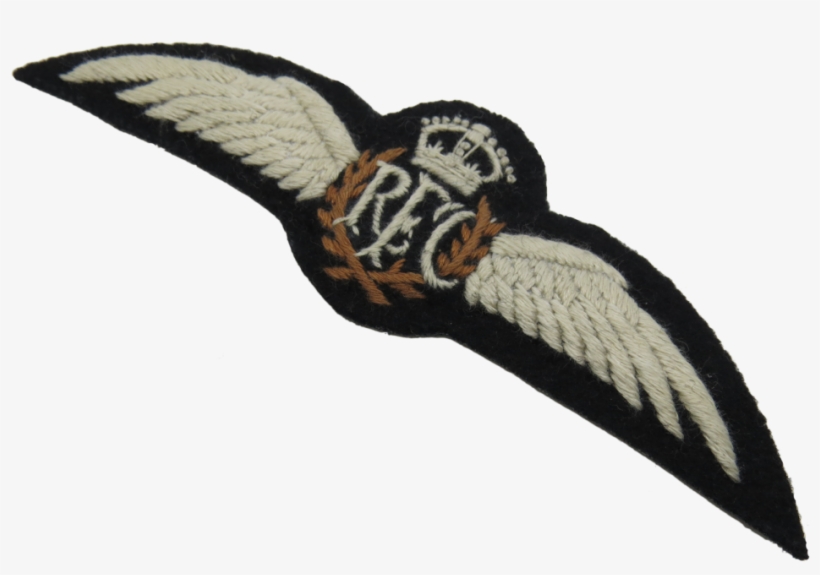 Eagle, transparent png #8984982