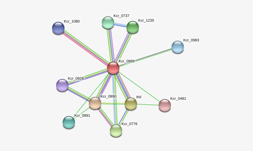 Circle, transparent png #8984983