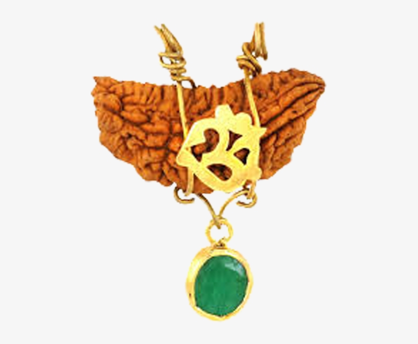 Enquiry Form - Ek Mukhi Rudraksha Locket, transparent png #8985342