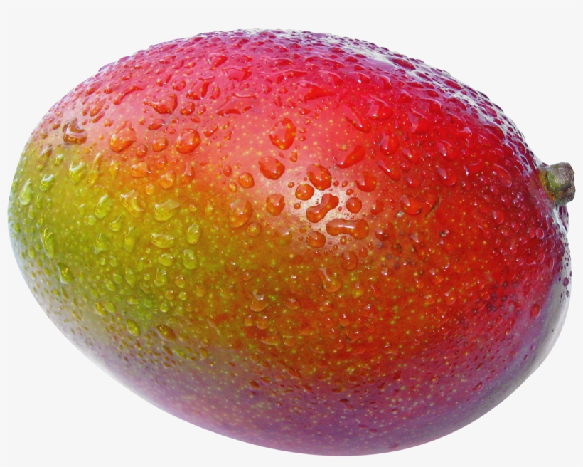 Mango Images, Clip Art, Illustrations, Pictures - Mango Fruit, transparent png #8985629