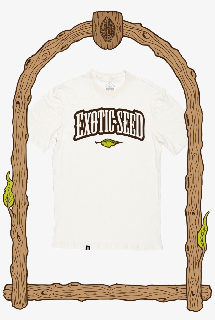 T Shirt Exotic Men Hemp Buy Marijuana - Seed, transparent png #8986286