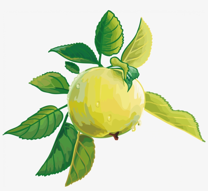 Render Fruit Vector Pomme Fruitsl Gumes Aliments Png - Fruit Render, transparent png #8986361