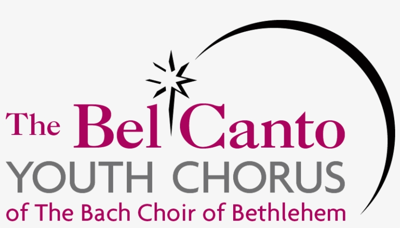 Please Support Our England 2019 Gofundme Campaign - Graphic Design, transparent png #8986432