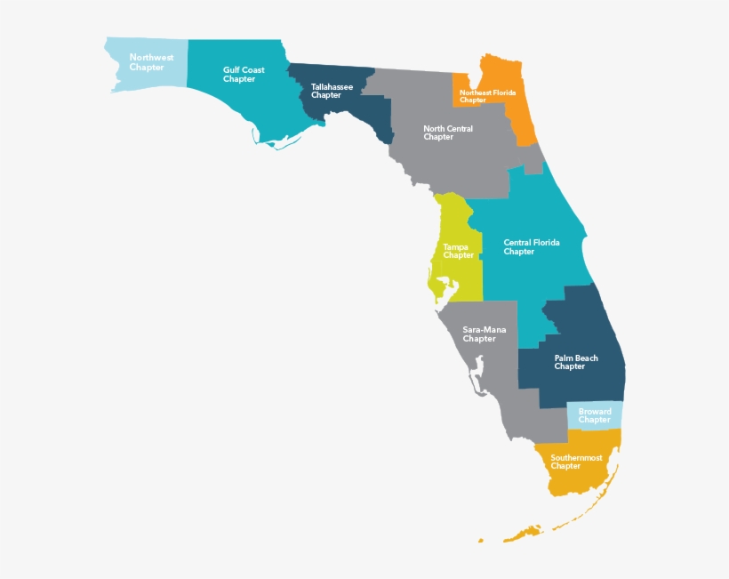 Chapter - Florida East Gulf Coastal Plain Map, transparent png #8987923