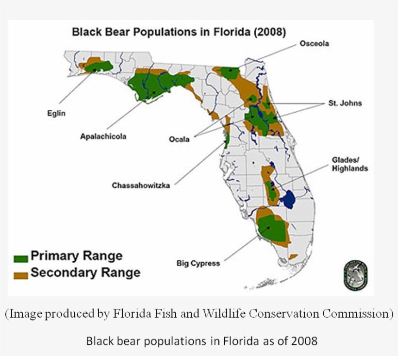 Before Florida Was Settled By Europeans In The 1500 - Black Bears In Florida Map, transparent png #8988011