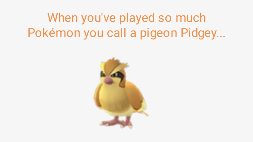 Look At Me Judgingly - Pokemon Go Pidgey, transparent png #8989295