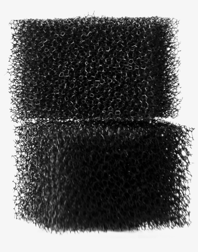 Stipple Sponge 12 Pcs - Leather, transparent png #8989796