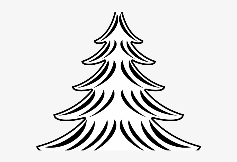 Pine Tree Clipart Top View - Clip Art Black And White Pine Tree, transparent png #8989844