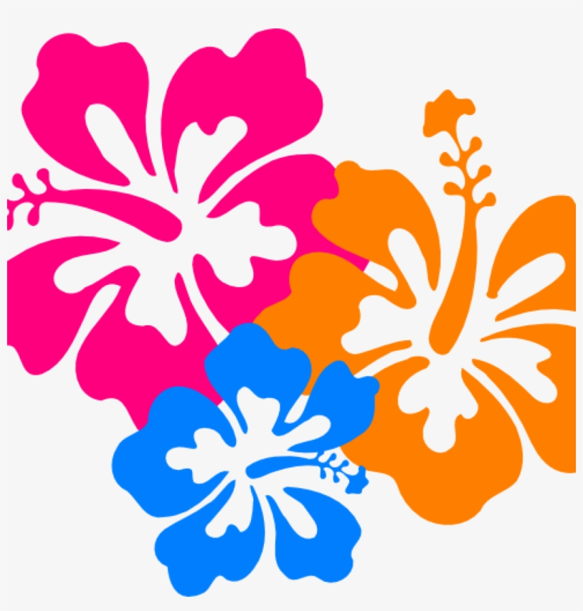 Hawaiian Border Clip Art Hawaiian Flower Clip Art Borders - Flowers Of Hawaii Png, transparent png #8989878