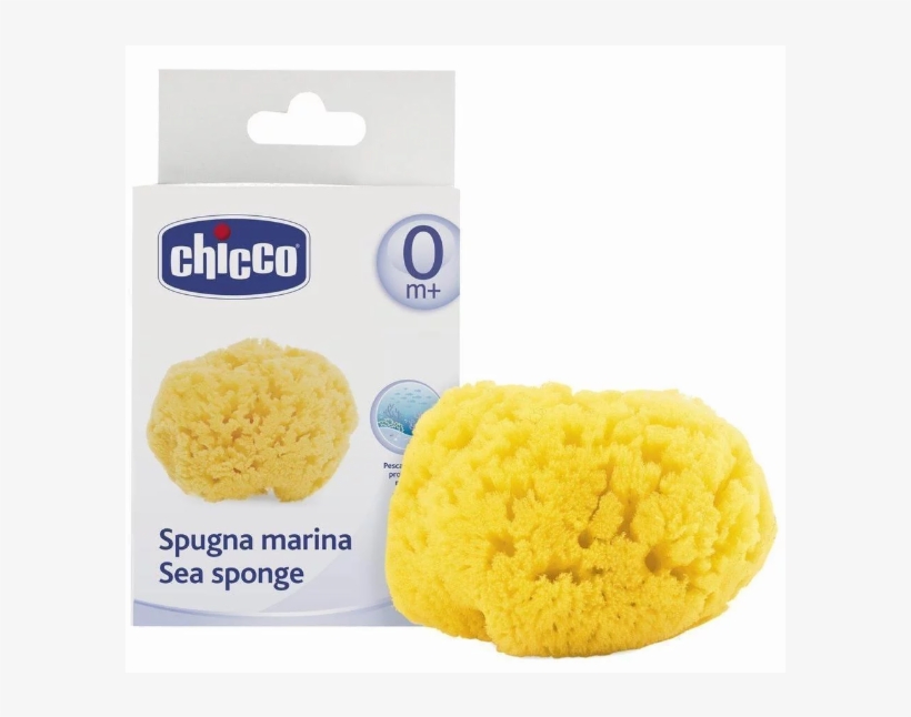 Chicco, transparent png #8990088