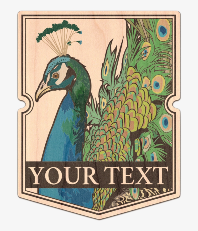 Creative Arts, transparent png #8990174