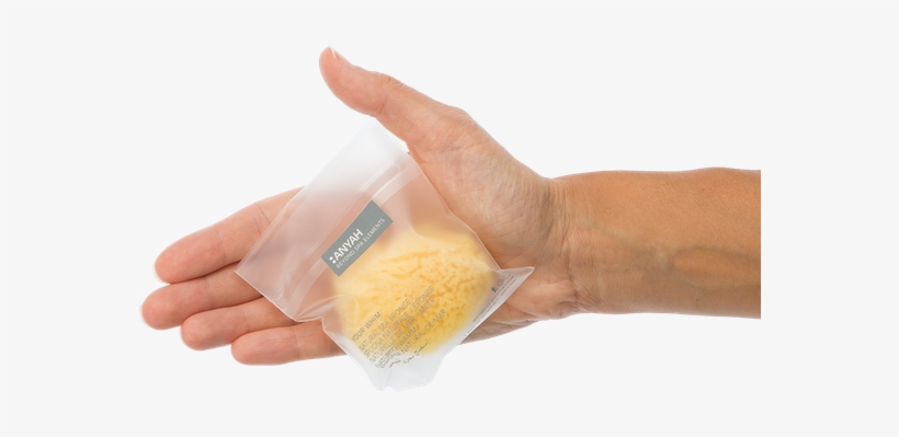 Natural Sponge, Anyah - Junk Food, transparent png #8990385